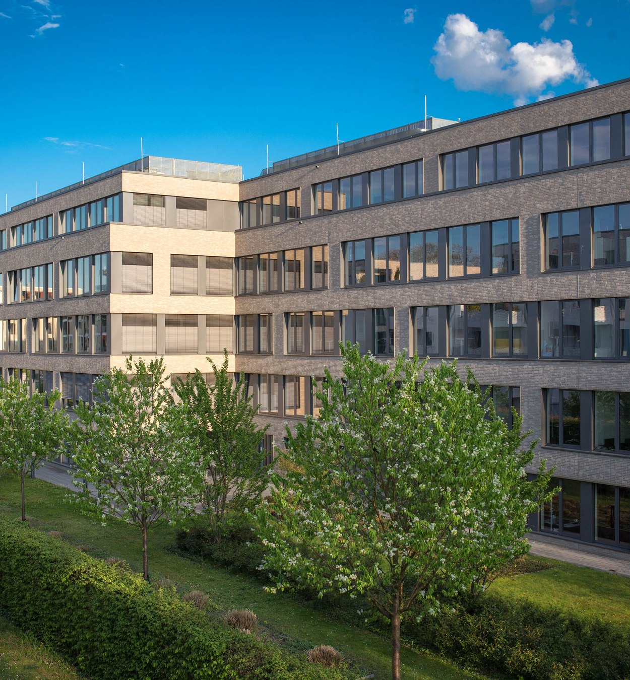 Modernes Bürogebäude mit vielen Fenstern und begrüntem Außenbereich